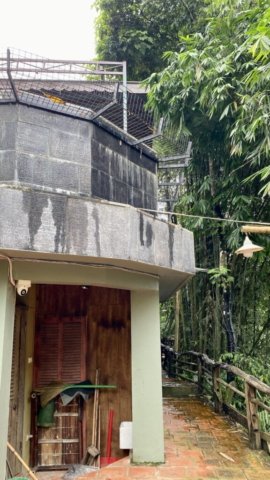 Art House Retreat Lương sơn