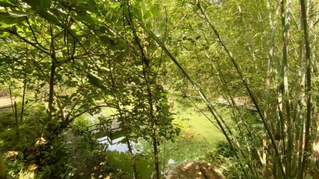 Art House Retreat Lương sơn