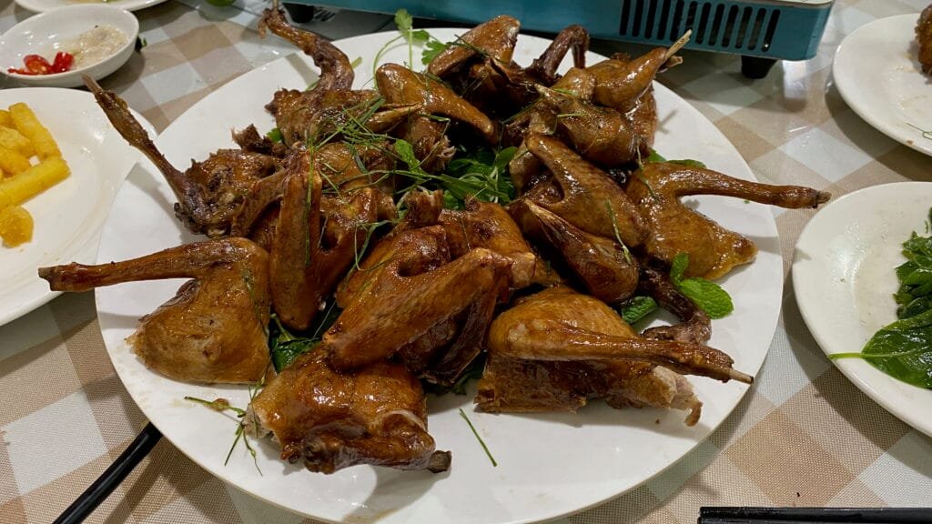 Bồ câu quay