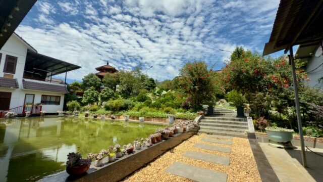 Cơm quán 64 Cơm quán 64