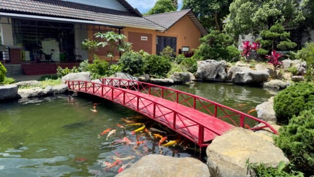 Cơm quán 64 Cơm quán 64