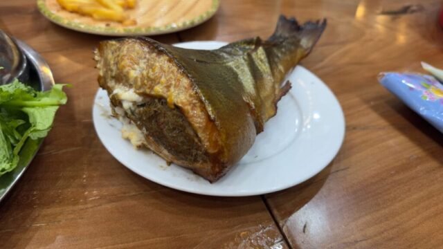 Cá Hồi Vườn Đào Cá Hồi Vườn Đào