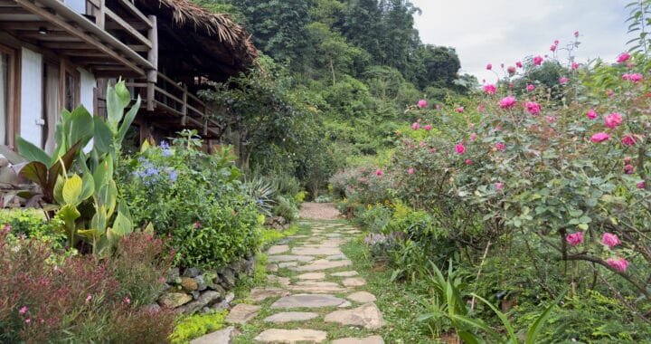 Review A LAM Boutique Stay