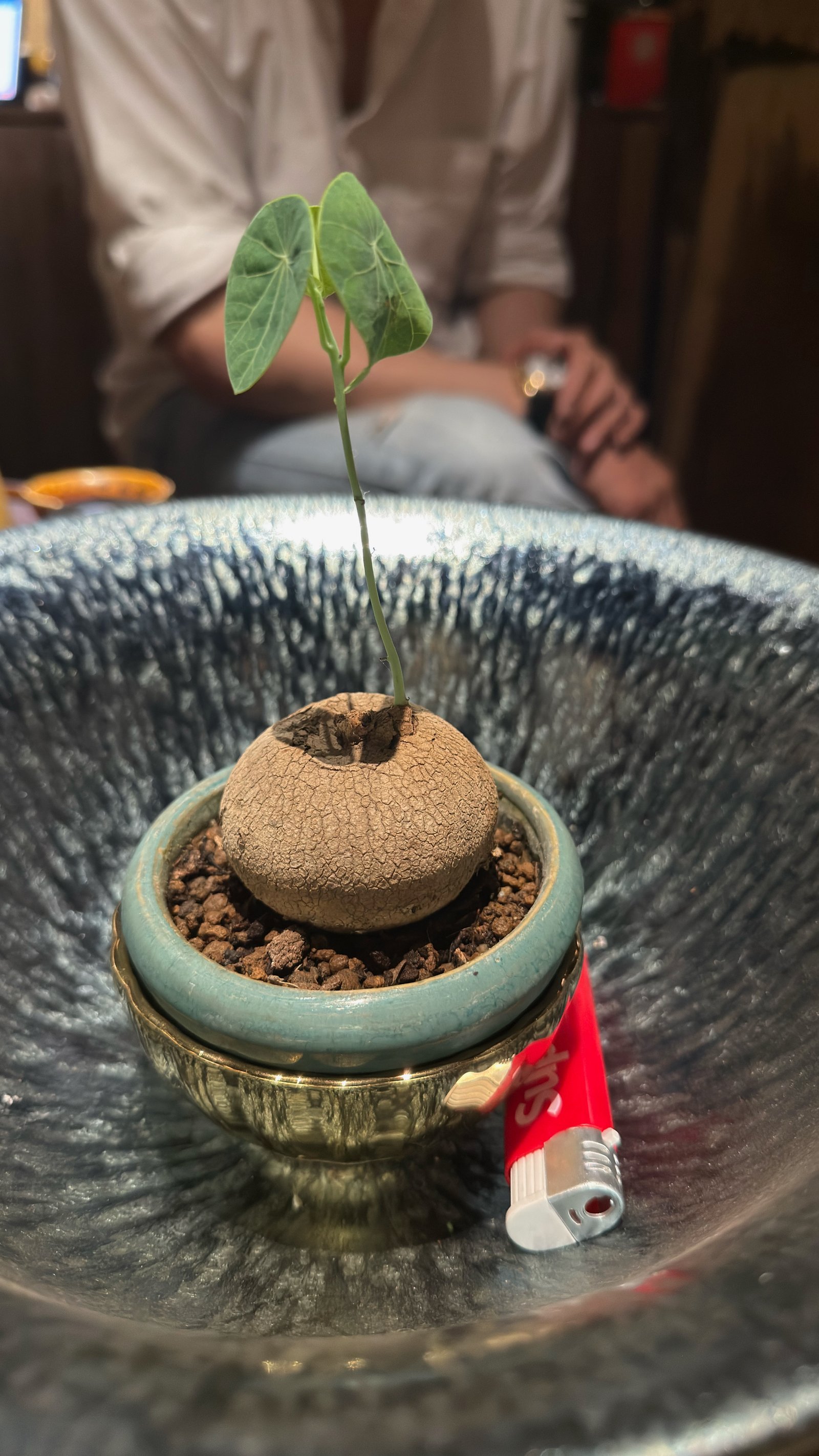 Nhà hàng Bến