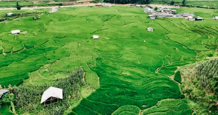 Kinh nghiệm du lịch Sapa