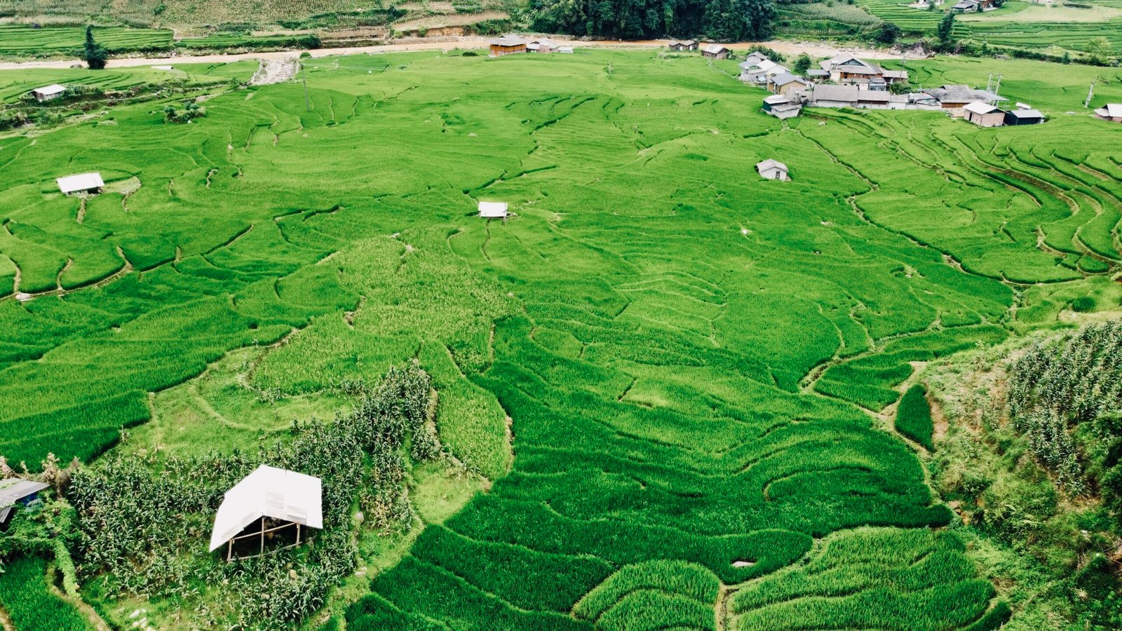 Ruộng bậc thang Sapa